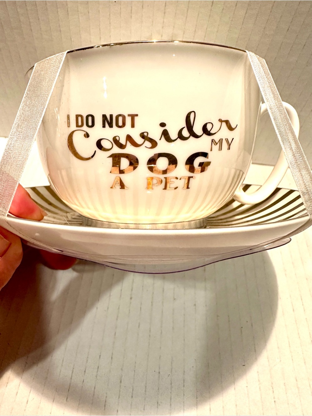 New White Ceramic Teacup with Gold Lettering - 'I Do Not Consider My Dog A Pet'